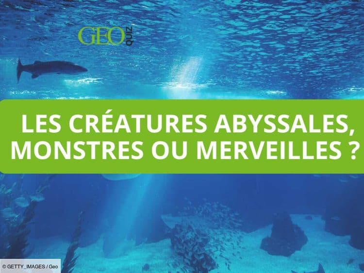 Quiz créatures abyssales: êtes-vous un expert des mystérieux habitants des profondeurs des océans?