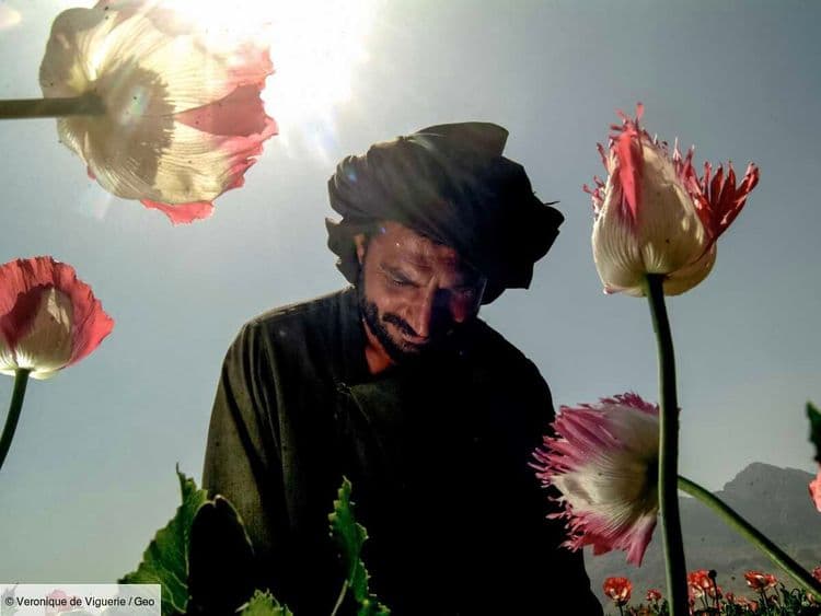 De l'opium à la meth, la nouvelle guerre de la drogue menée par les talibans