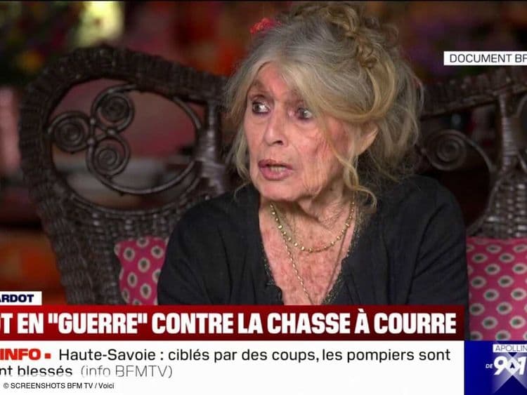Brigitte Bardot "en guerre" : à 90 ans, elle se livre sur le dernier combat de sa vie