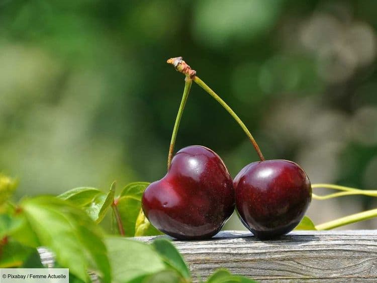 Des vers dans vos cerises ? Voici comment les repérer et s’en débarrasser