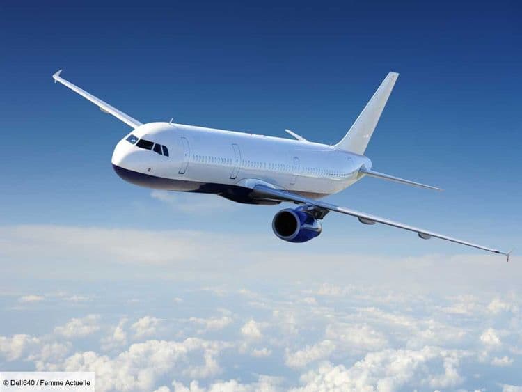 Un passager d'un avion peut-il réaliser un atterrissage? Des pilotes répondent à la question qui agite les réseaux sociaux