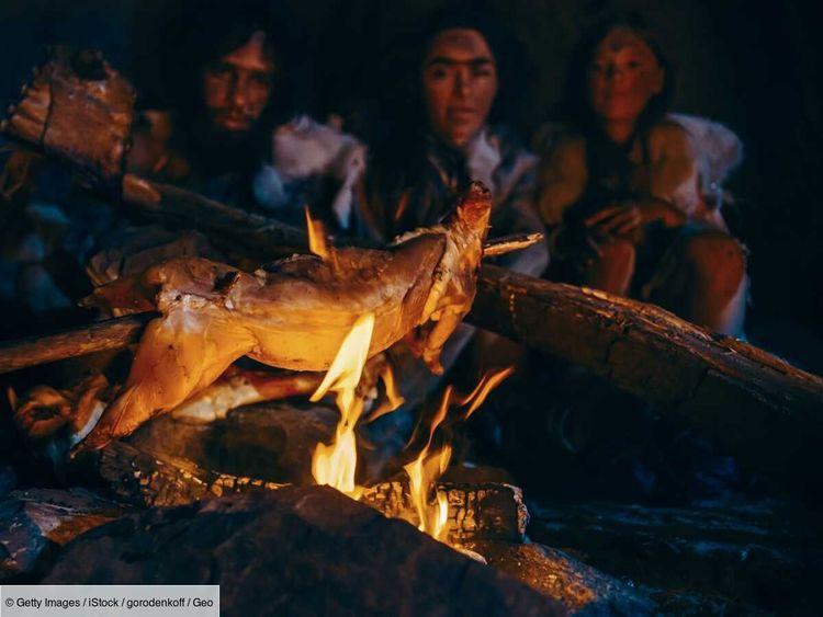 Des secrets de la cuisine des Néandertaliens révélés par la science