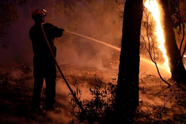 Premier gros incendie de l'année dans le sud de la France: feu "fixé"