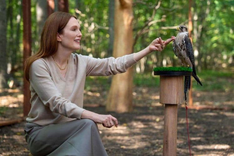 Julianne Moore et Kevin Bacon brillent dans la nouvelle comédie noire à suspense numéro 1 sur Netflix