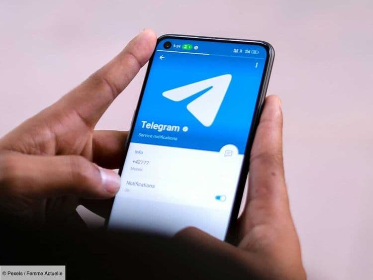 Pères de famille, prêtre, ambulancier... 55 hommes interpellés pour leurs activités pédopornographiques sur Telegram lors d'un vaste coup de filet