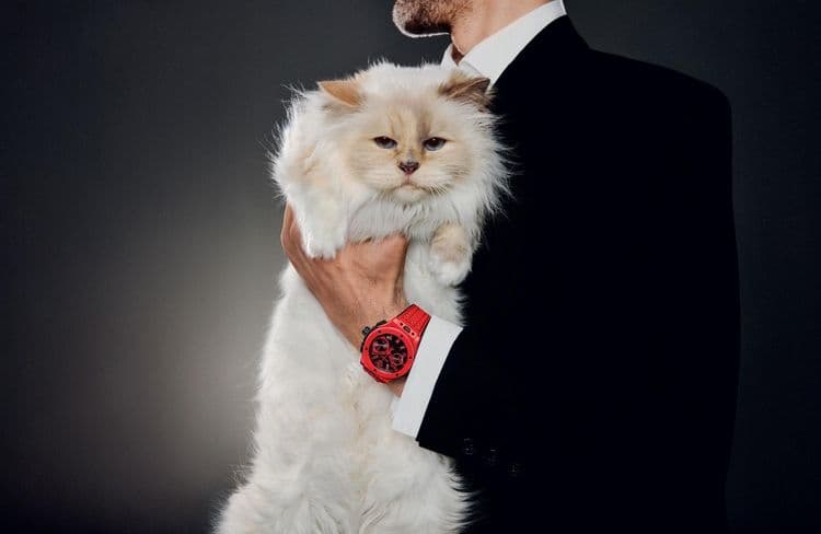 Choupette, la chatte de Karl Lagerfeld, star inattendue d’une campagne horlogère