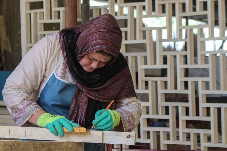 Dans une vallée pakistanaise, la petite révolution des travailleuses
