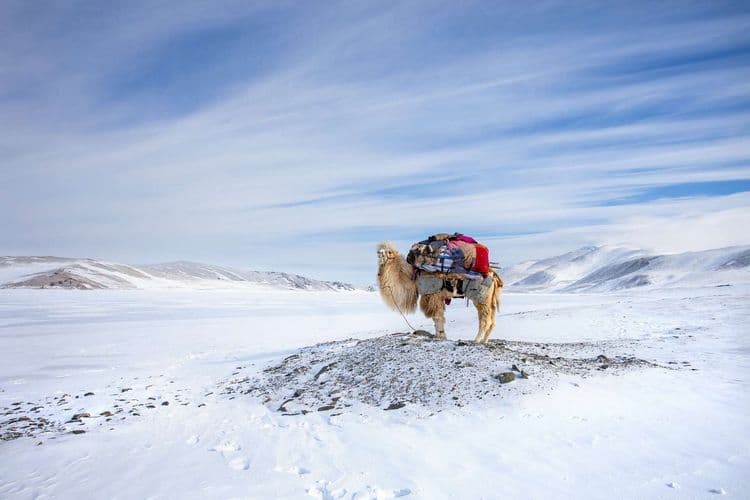 Dans un monde qui se réchauffe, ce pays subit des vagues de froid de plus en plus intenses !