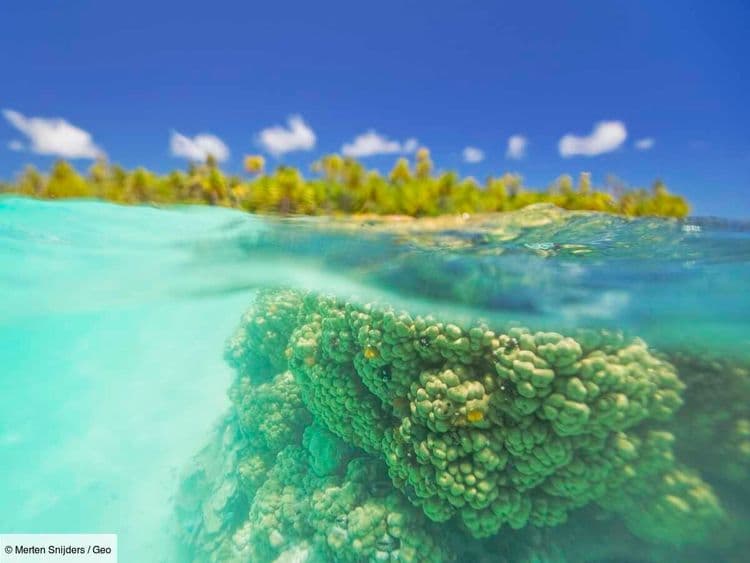 Il est resté seul sur un atoll polynésien en sursis. Son constat est effrayant