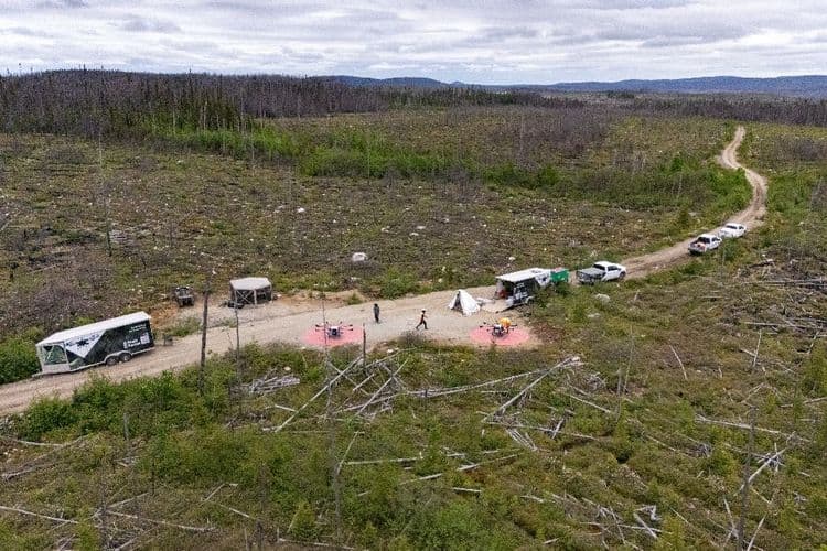 Reboiser après les incendies, des drones à la rescousse au Canada