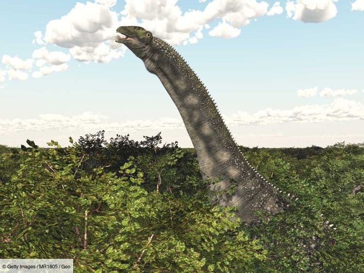 Le Chiffre de GEO: vieux de 100 millions d'années, cet intestin fossilisé dévoile les secrets digestifs des dinosaures