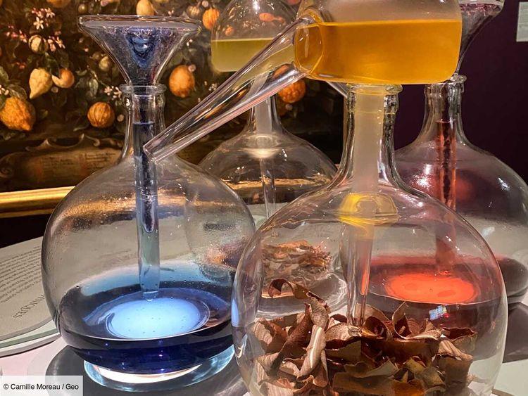 Une exposition sensorielle met en lumière les talents de parfumeur de Léonard de Vinci