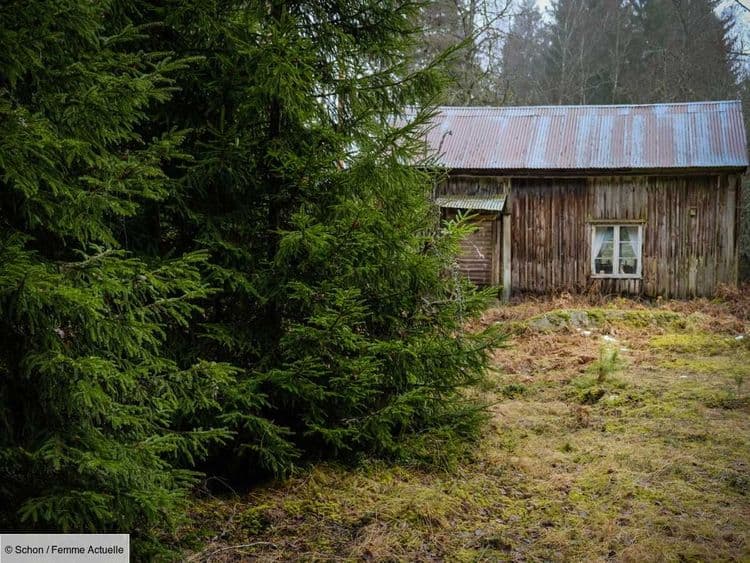 Ils ne savent ni lire, ni écrire et portent toujours des couches : deux enfants cachés en pleine forêt par leur père "obsédé par le Covid"