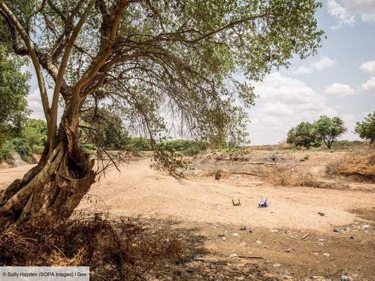 À grands coups de pompes, l'Éthiopie assèche le lac Dembel pour nourrir sa population