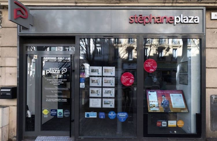 Condamné pour violences conjugales, Stéphane Plaza tente de sauver son empire immobilier