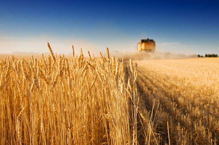 Découverte de sources agricoles de dangereuses particules fines