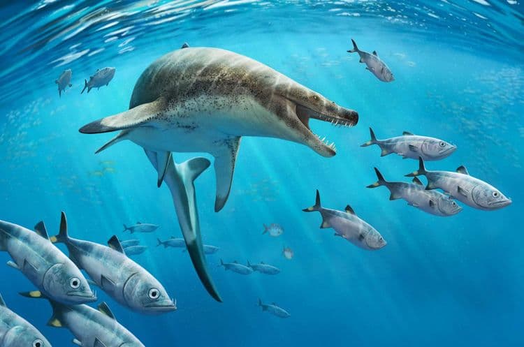Ce reptile marin géant devait être la terreur des océans il y a 66 millions d’années