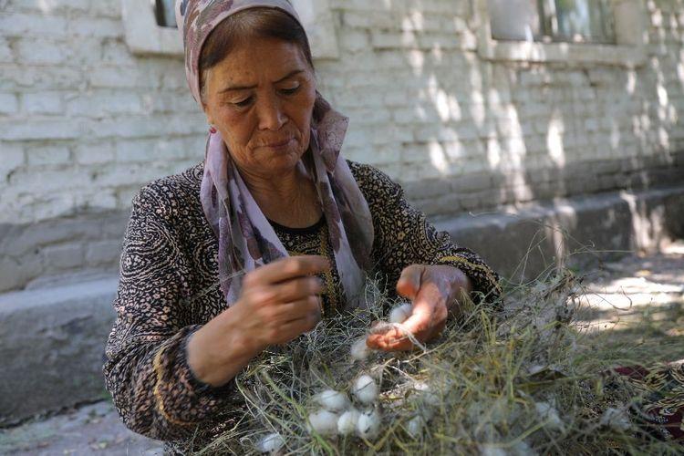 En Ouzbékistan, la relance de l'industrie de la soie