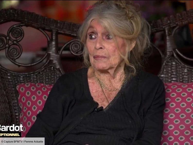 "Les laisser continuer à vivre" : Brigitte Bardot monte au créneau pour défendre Gérard Depardieu et Nicolas Bedos