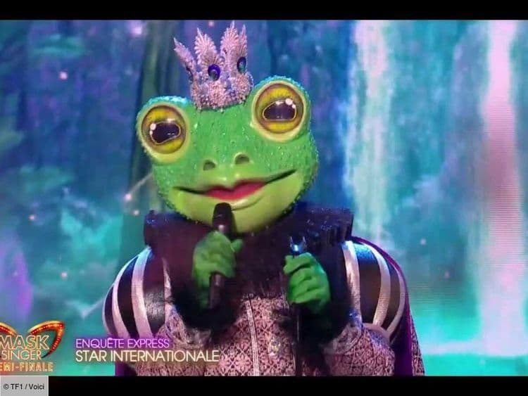Mask Singer : découvrez quelle star internationale se cachait sous le costume de la Grenouille