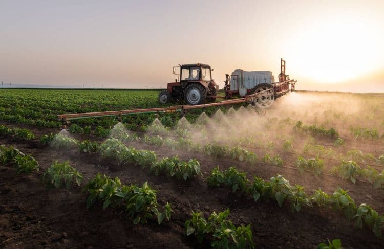 Qu’est-ce que l’acétamipride, ce pesticide dangereux que le Parlement veut réautoriser ?