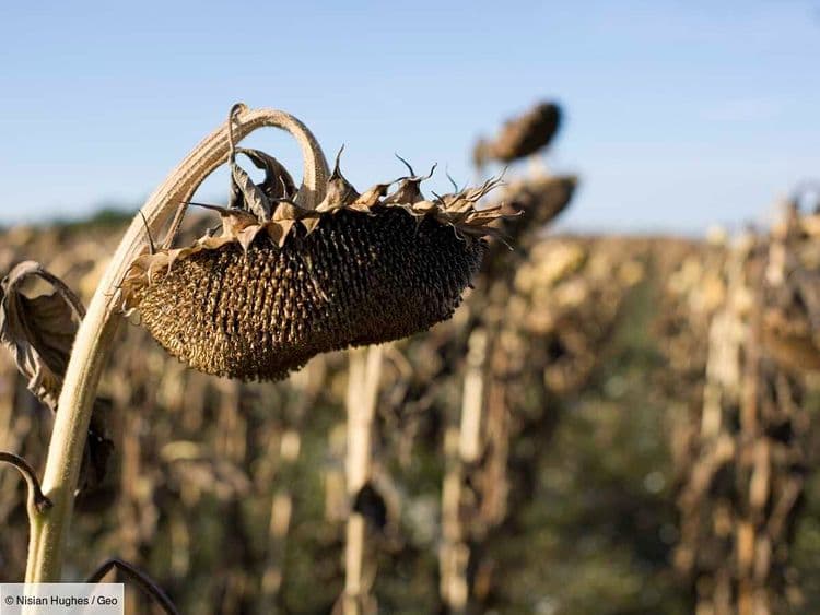 Catastrophes naturelles: la France a englouti 2 milliards d’euros en 2023... malgré une année sans sécheresse majeure