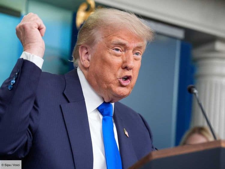 "Est-ce que c'est légal ?" : la dernière folie de Donald Trump, le président américain, fait vriller la Toile