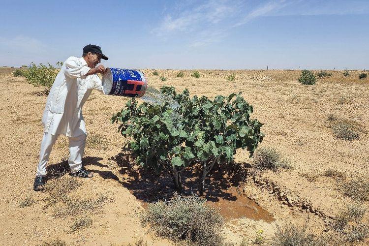 Libye: jadis fertile, une zone montagneuse en proie au dérèglement climatique