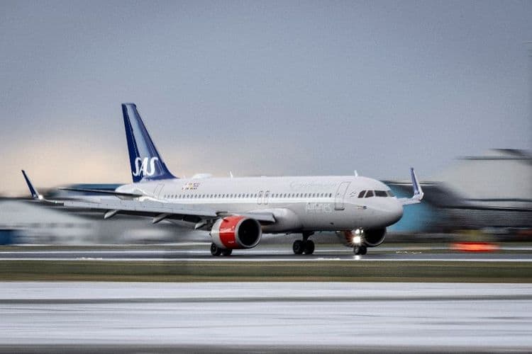Norvège: une souris, passagère clandestine, oblige un avion à se poser