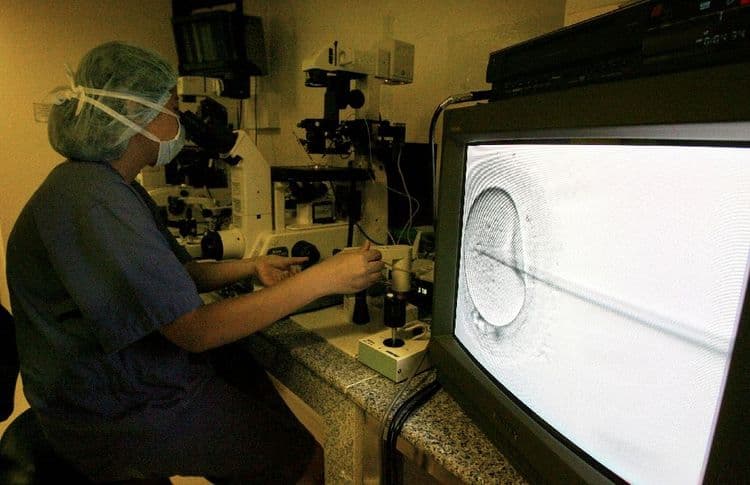 Australie: une clinique de fécondation in-vitro admet s'être trompée d'embryon