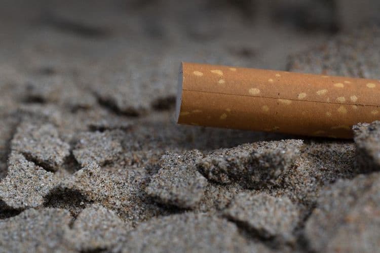 Fumer à la plage, au parc ou sous un abribus interdit à partir de dimanche, selon un décret au JO