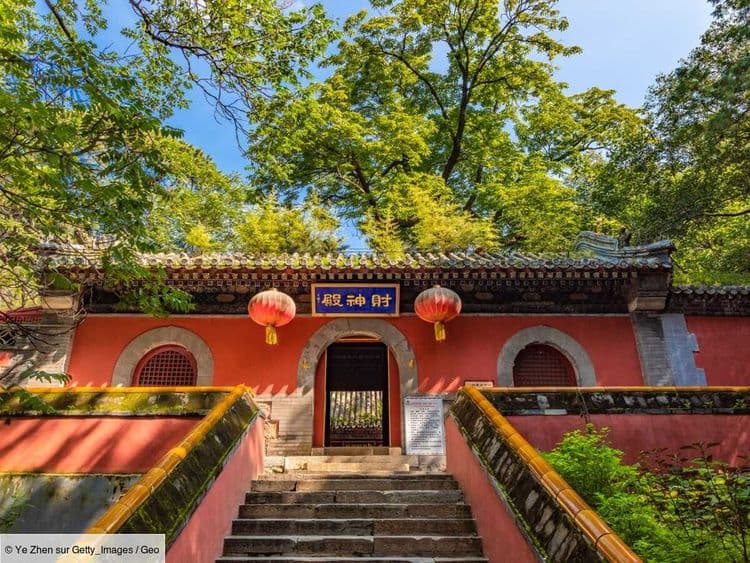 Les temples sacrés, de précieux refuges pour les arbres d'espèces menacées en Chine