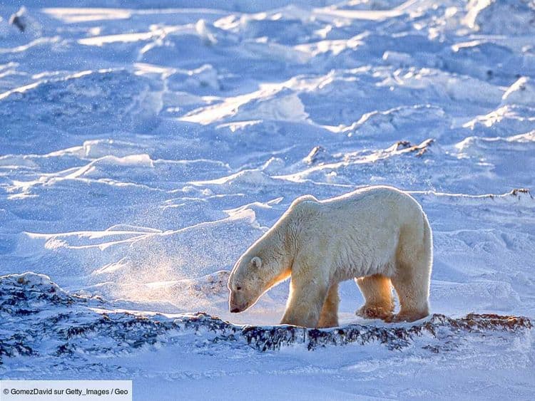 Du mercure continue de se déverser dans l'Arctique, et on sait maintenant d'où il provient