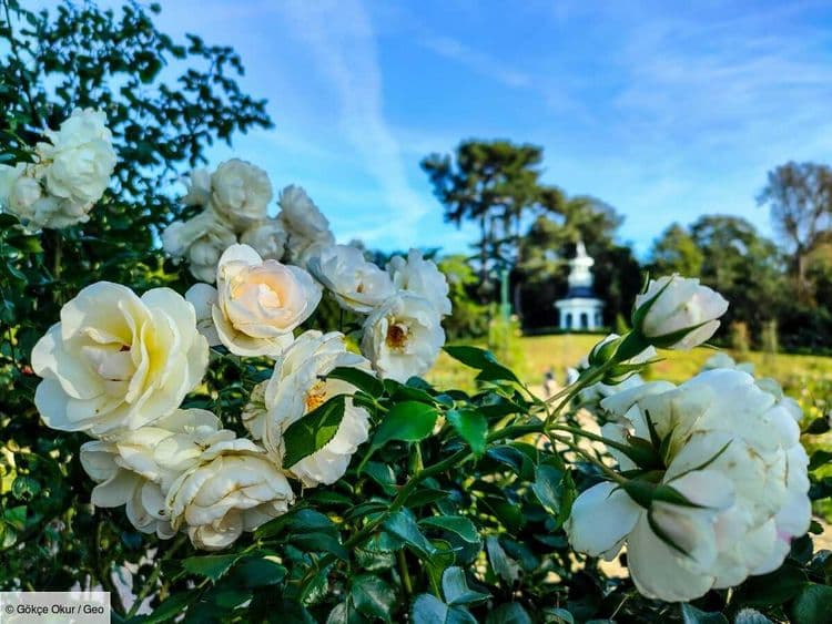 5 jardins spectaculaires à visiter en Europe cet été pour s’évader sans quitter la ville