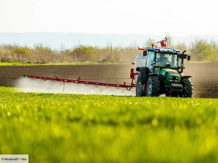 Pesticides, eau, élevage: ce que contient la loi Duplomb, contestée par les défenseurs du climat
