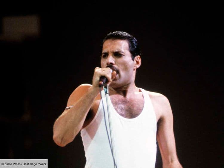 Freddie Mercury : une femme affirme être sa fille cachée, Anita Dobson, l'épouse du guitariste de Queen, réagit sans détour