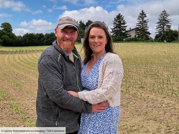 Lucile et Jérôme annoncent une grande nouvelle, les autres agriculteurs de L'amour est dans le pré se réjouissent