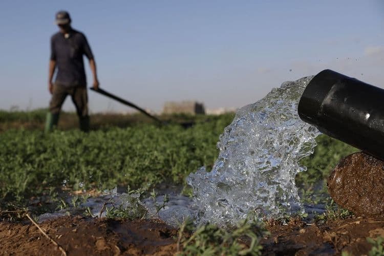 L'eau dessalée au secours de l'agriculture dans le sud du Maroc