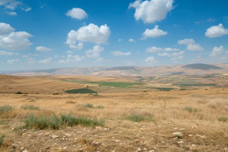 Israël saisit près de 1300 hectares de terres en Cisjordanie occupée