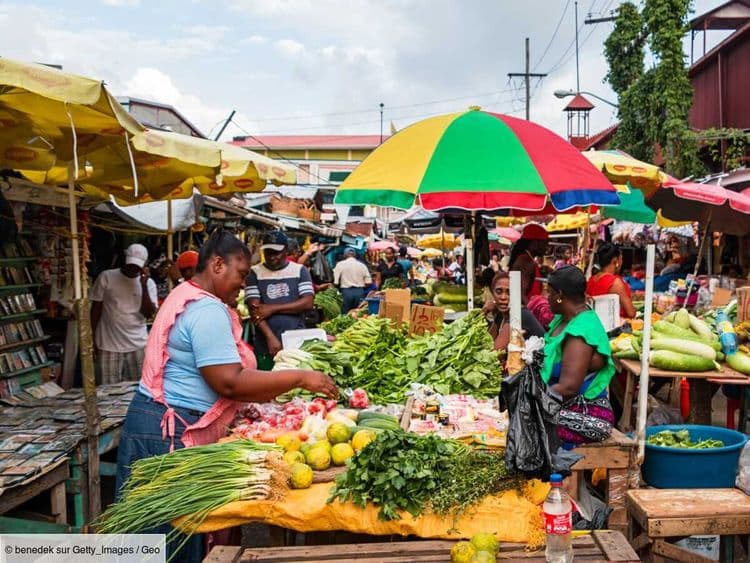 Un seul pays au monde atteint l'autosuffisance alimentaire, et ce n'est pas celui auquel vous pensez