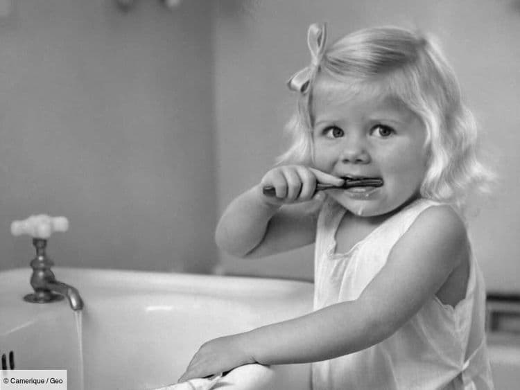 Pourquoi avez-vous parfois mal aux dents? La réponse remonterait à 500 millions d'années