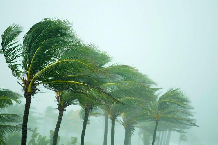 Les Antilles sous la menace d’un ouragan “potentiellement mortel”