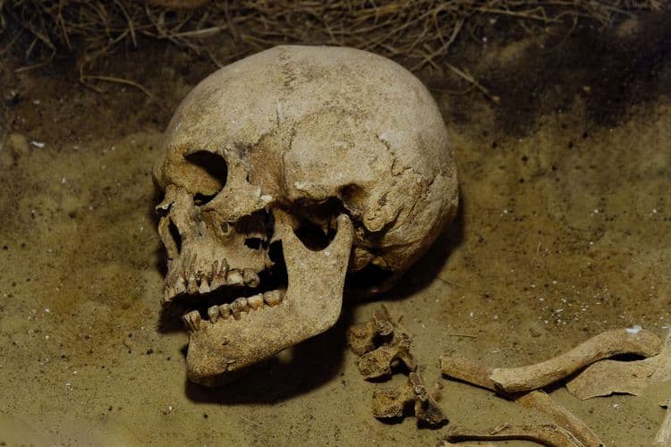 Des piercings en pierre comme rite de passage à l’âge adulte il y a 11 000 ans