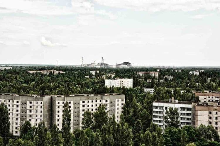 Près de Tchernobyl, ces animaux mutants se sont adaptés à leur environnement radioactif