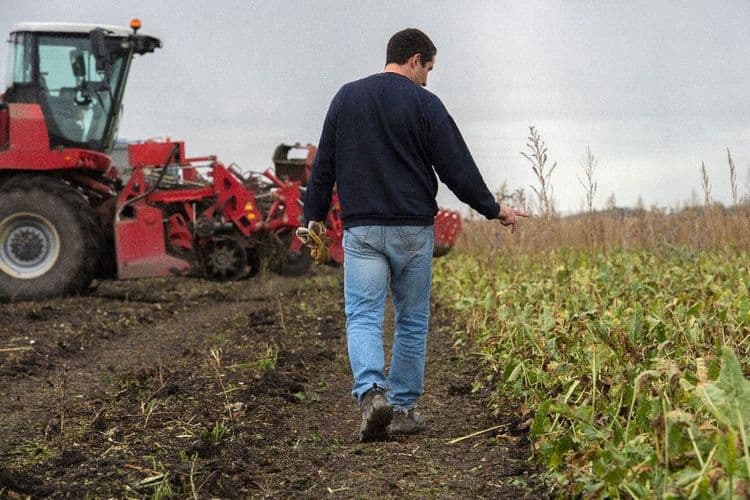 Pesticides: la bataille tactique s'ouvre à l'Assemblée sur la loi Duplomb