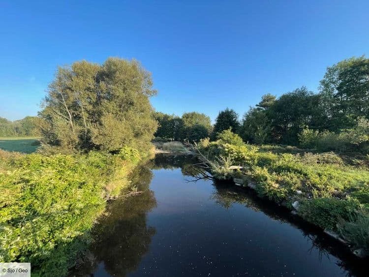 La Région Grand Est porte plainte après la mort de "milliers de poissons" dans l'Ill