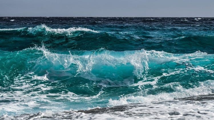 Selon l’association ‘Eau et Rivières de Bretagne’, une plage sur cinq est périodiquement polluée par des bactéries