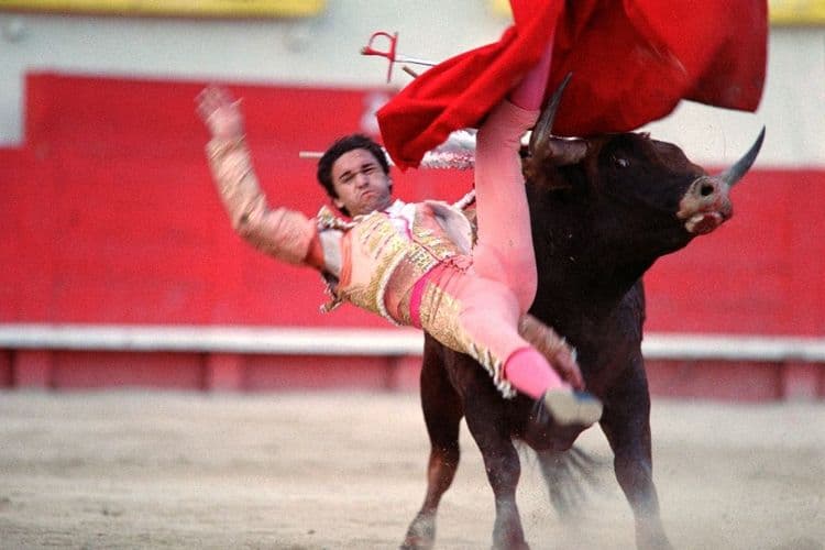 L'avenir économique de la corrida "se pose" en France, selon un rapport
