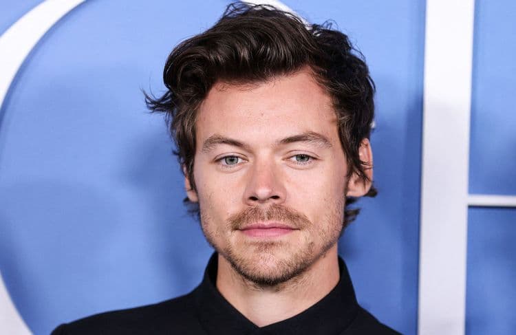 Harry Styles : 8 fans nous racontent leur admiration pour l’artiste