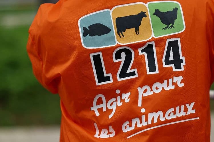 Maltraitance animale: plainte de L214 contre un abattoir de la Loire